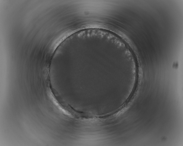 X0000111520993200908111158