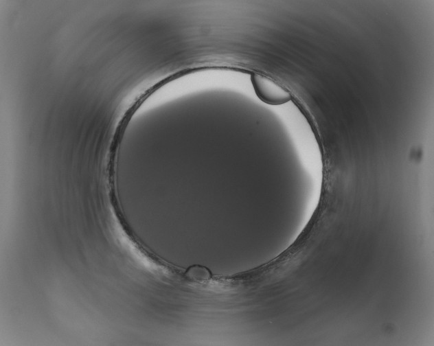 X0000111520995200908111158