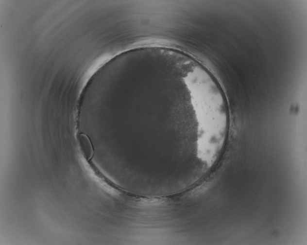 X0000111520997200908111158