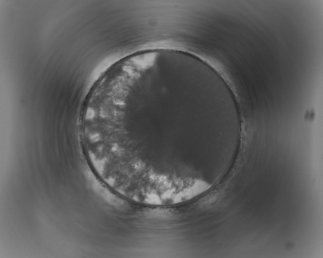 X0000111520998200908111158