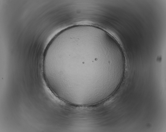 X0000111521000200908111158