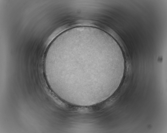 X0000111521002200908111158