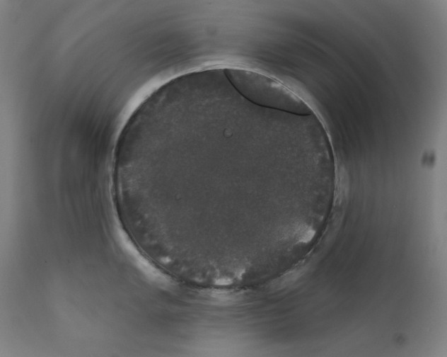 X0000111521005200908111158