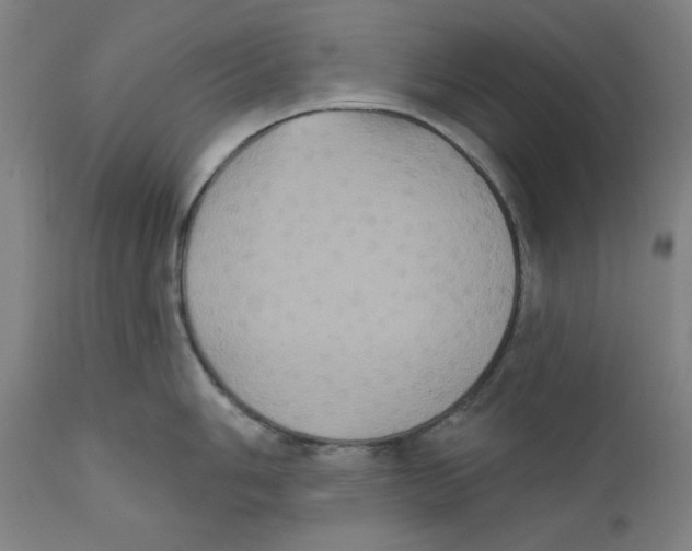 X0000111521006200908111158