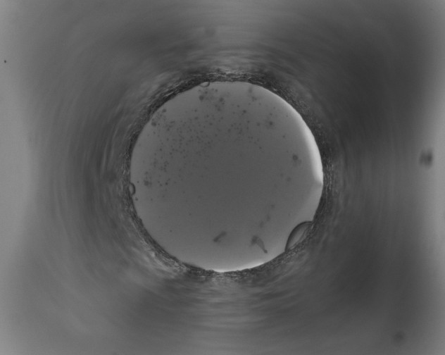 X0000111521009200908111157