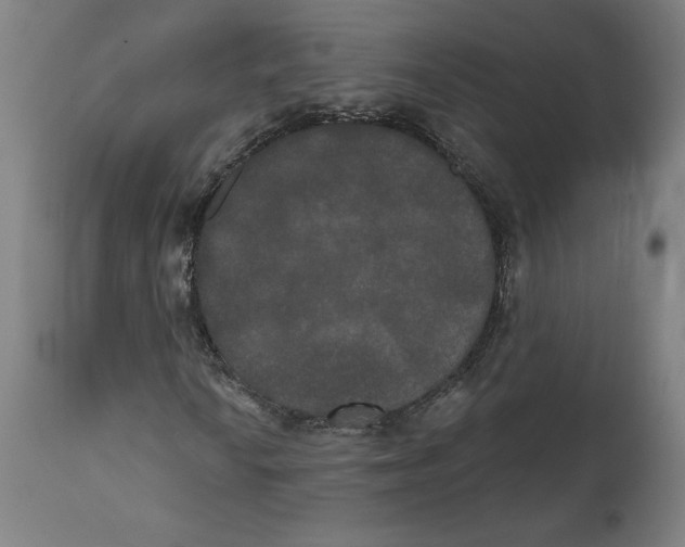 X0000111521010200908111157