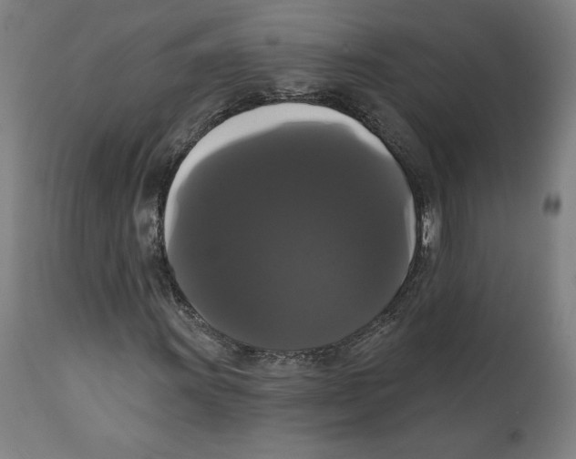 X0000111521011200908111157