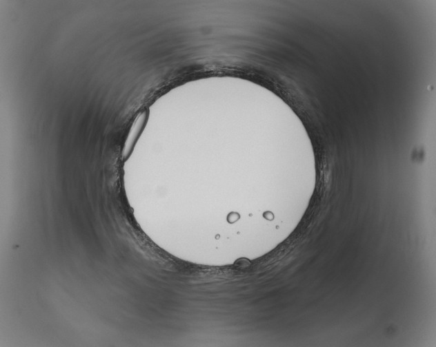 X0000111521012200908111157