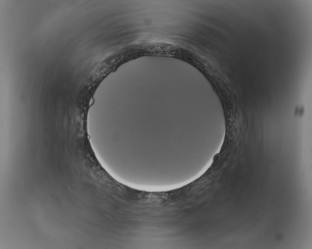 X0000111521013200908111157