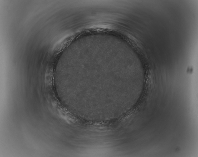 X0000111521014200908111157