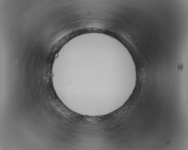X0000111521015200908111157