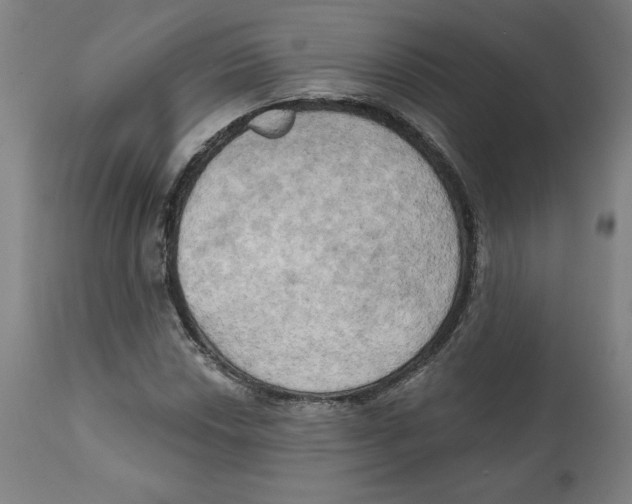 X0000111521018200908111157