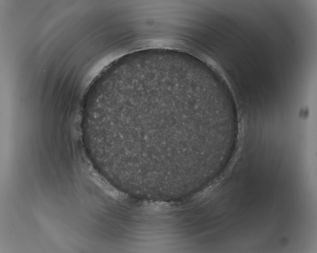 X0000111521019200908111157