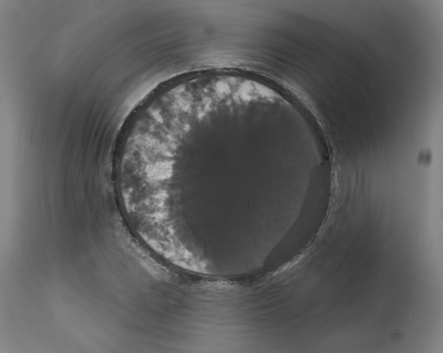 X0000111521023200908111157
