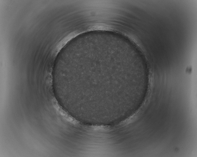 X0000111521025200908111157