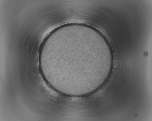 X0000111521030200908111157