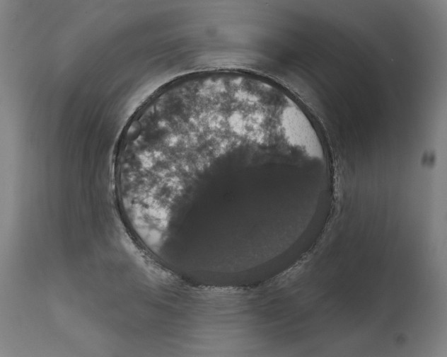 X0000111521031200908111157