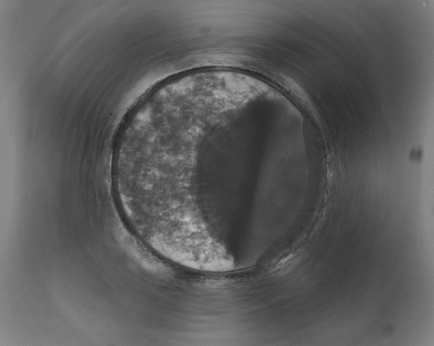 X0000111521035200908111157