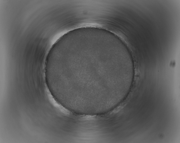 X0000111521038200908111158