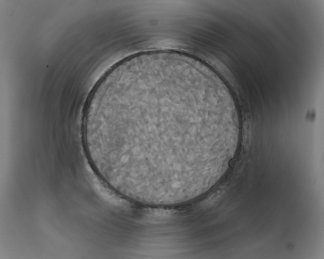 X0000111521039200908111158