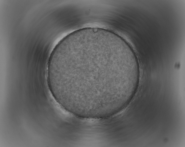 X0000111521040200908111158
