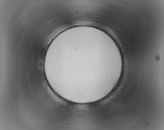 X0000111521041200908111158