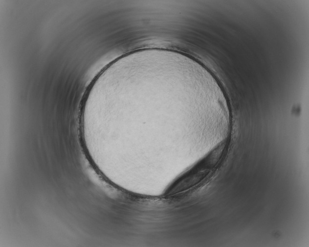 X0000111521042200908111158