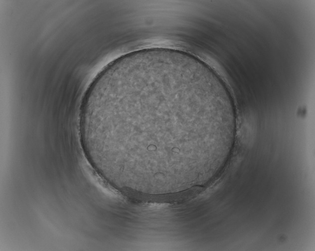 X0000111521043200908111158