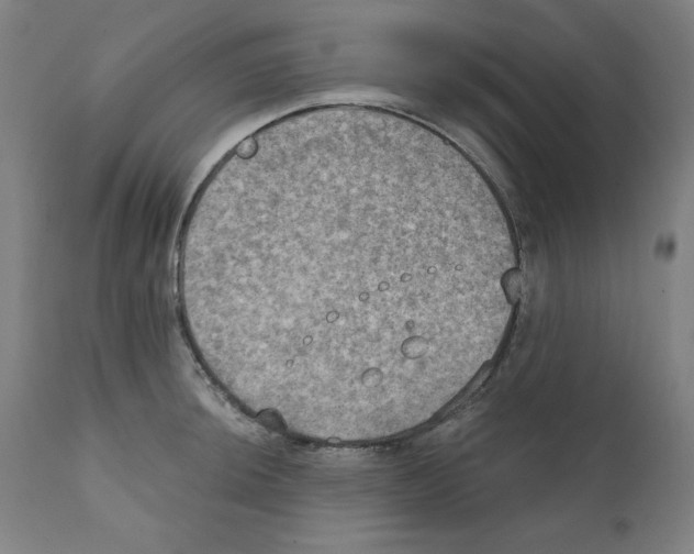 X0000111521044200908111158