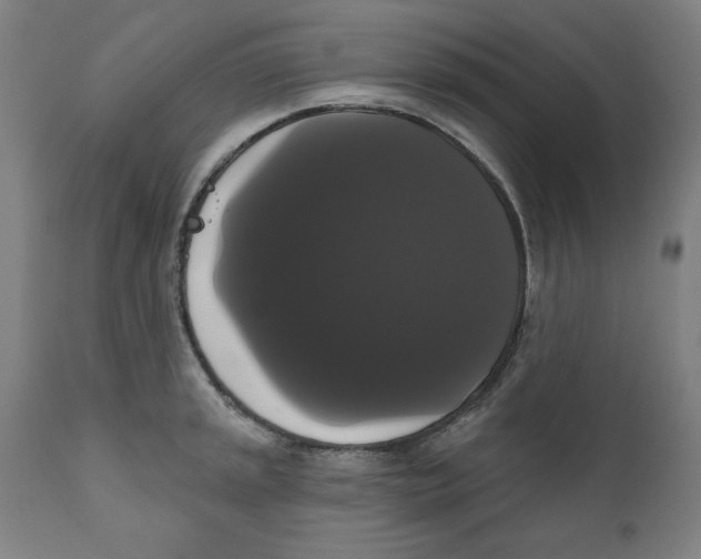 X0000111521045200908111158