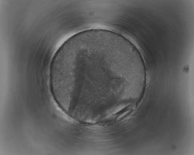 X0000111521048200908111158