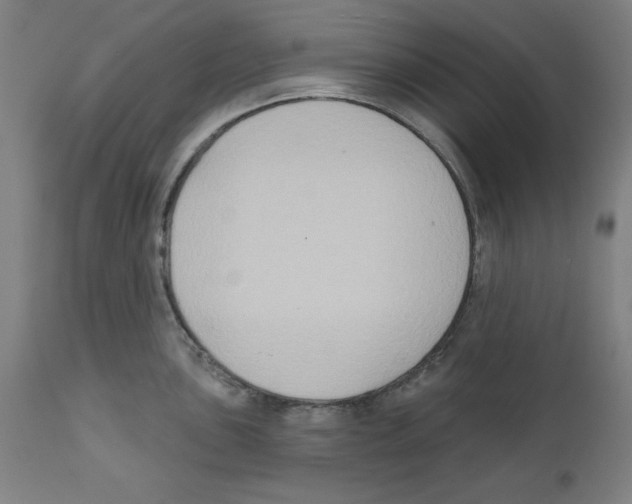 X0000111521051200908111158
