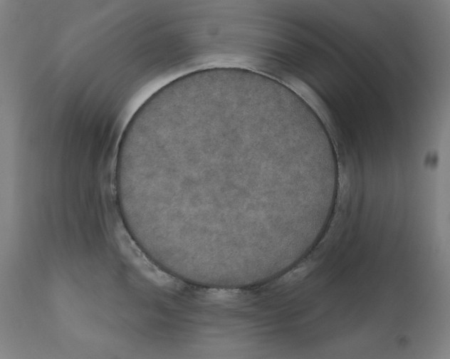 X0000111521052200908111158