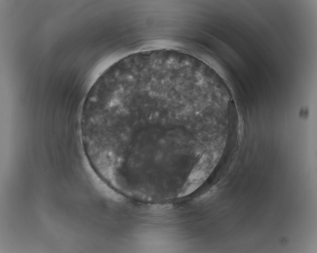 X0000111521055200908111158