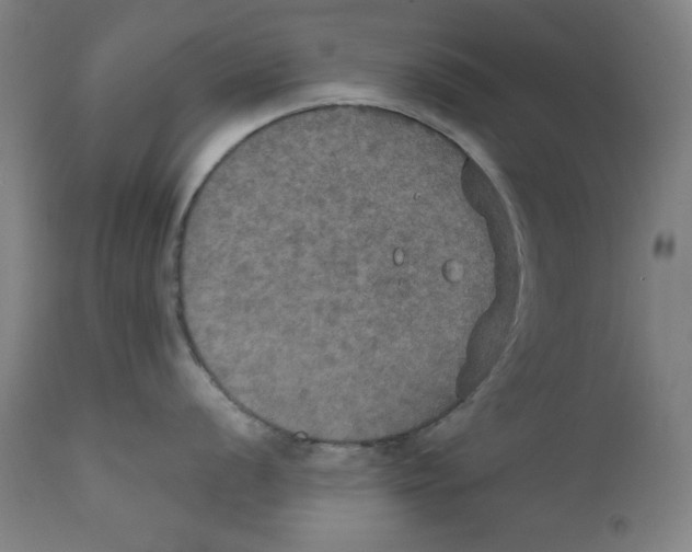 X0000111521056200908111158