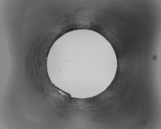 X0000111521057200908111157