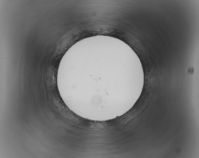 X0000111521058200908111157