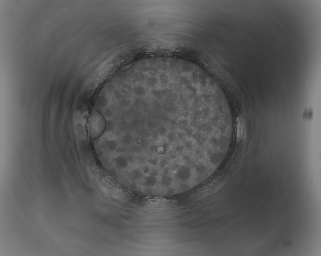 X0000111521059200908111157
