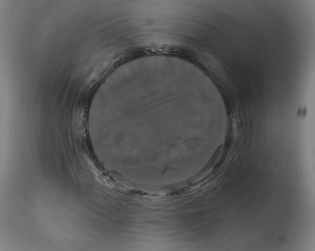 X0000111521060200908111157