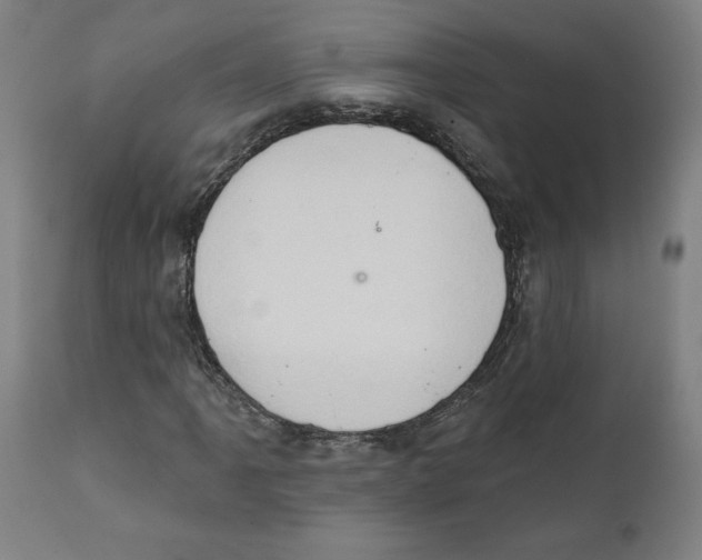 X0000111521061200908111157
