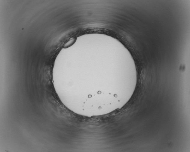 X0000111521062200908111157