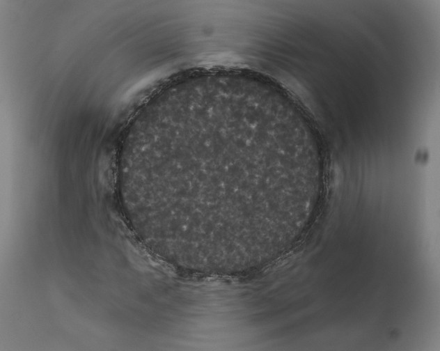 X0000111521063200908111157