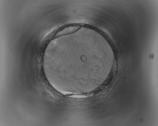 X0000111521064200908111157