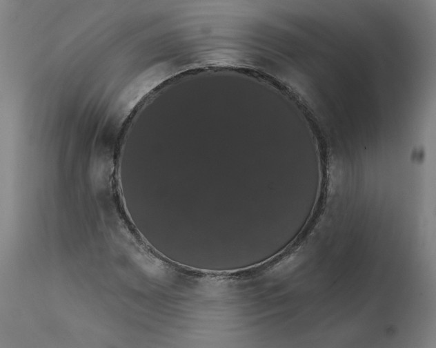 X0000111521065200908111157