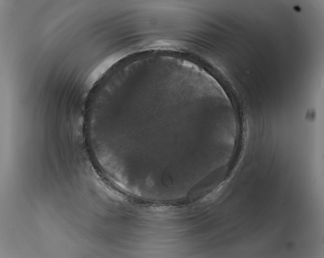 X0000111521066200908111157