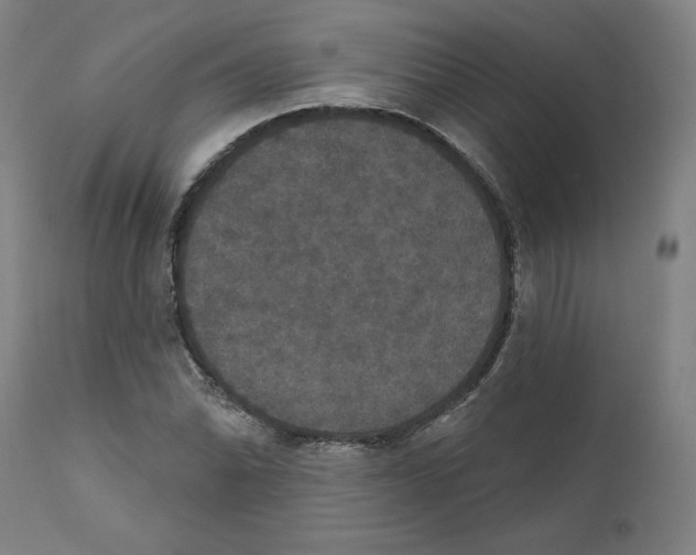 X0000111521070200908111157