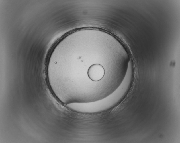 X0000111521072200908111157