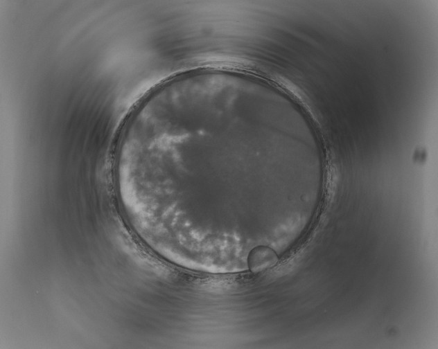 X0000111521074200908111157