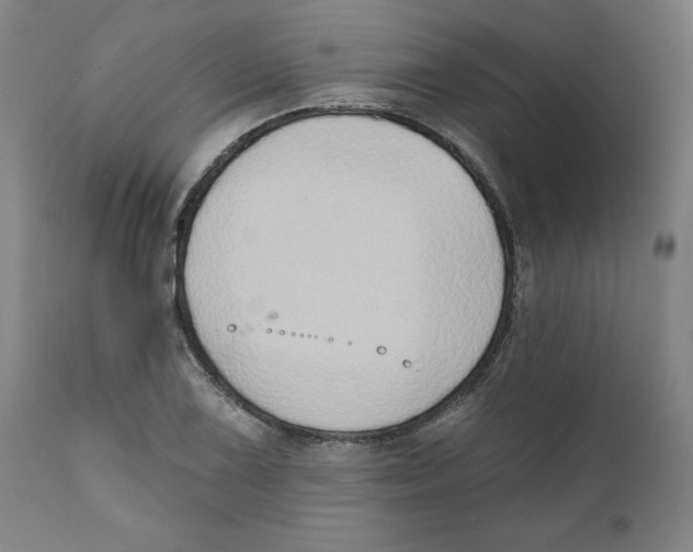 X0000111521075200908111157