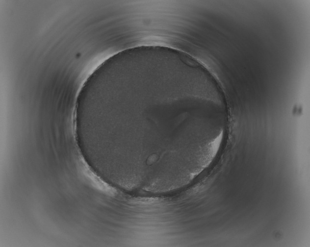 X0000111521076200908111157